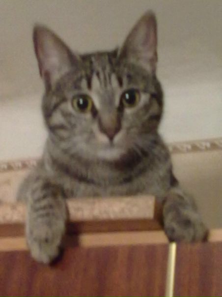 №37, Дмитрий Попов, 38 лет, Одесса №37, Дмитрий Попов, 38 лет, Одесса