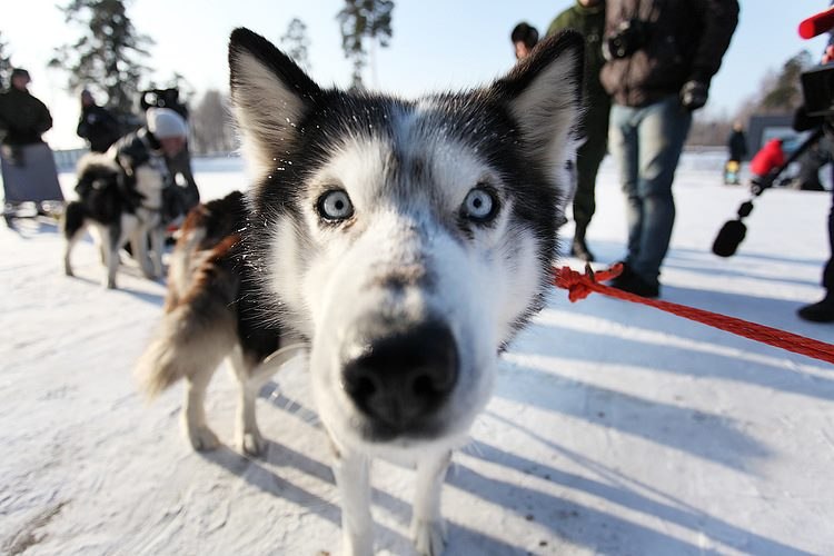 Василий Скоробогатов ♦♠♥♣ | 
