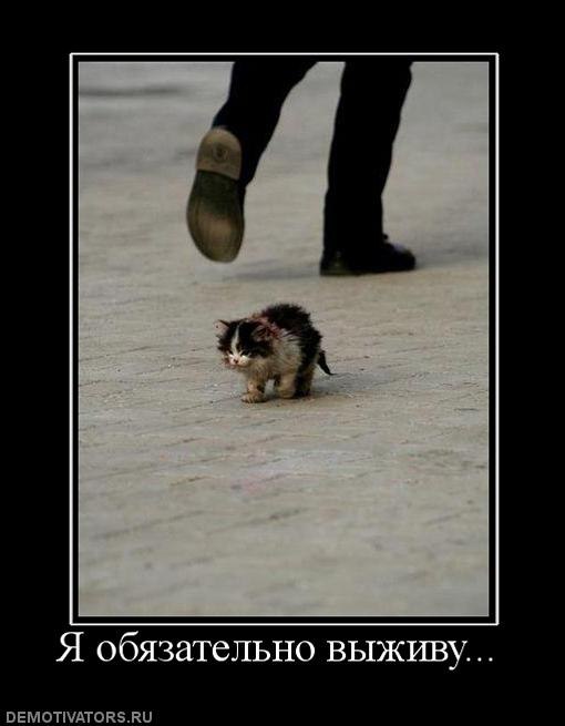 Валентин Барикет | Николаев