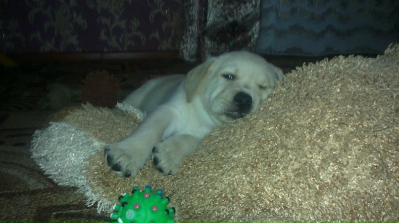 Юлия Язовских | Тихвин