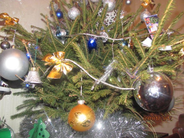 Виктория Рудюк | Хмельницкий