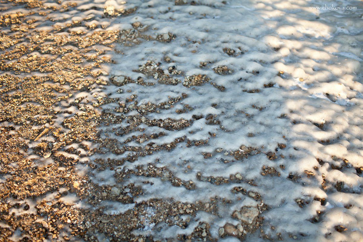 Татьяна Чокова | Одесса