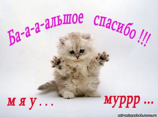 Ирочка Белая | Сумы