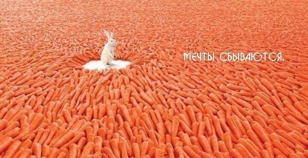 Вася Зайцев | 