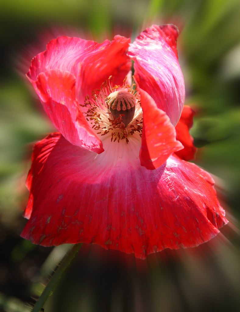 Николай Турчин | Чернигов