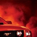 №143, Полина Долгих, 35 лет №143, Полина Долгих, 35 лет