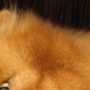 №148, Полина Долгих, 35 лет №148, Полина Долгих, 35 лет