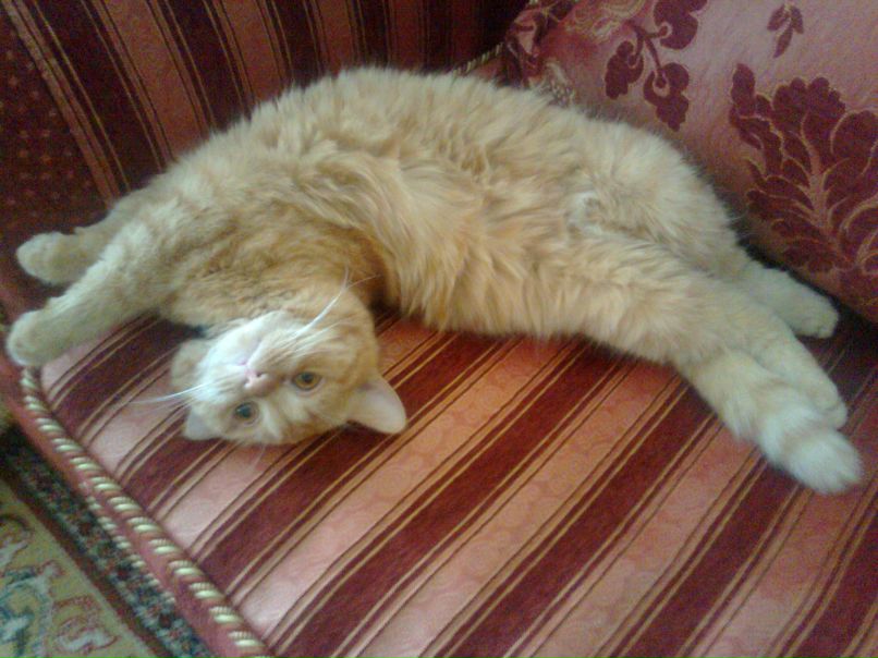 Tima Ananev | Южноуральск