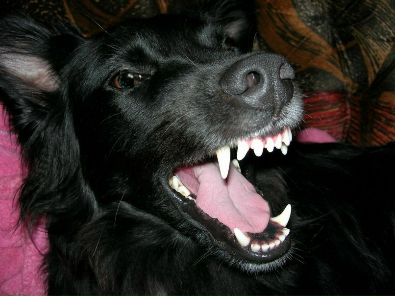 Ирина Чичиканова Олеговна | Москва