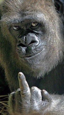 Юлия Голованова | Киров