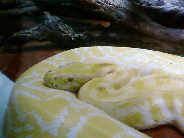 Юра Малышак | Южное