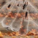 №47, Бекхан Маратов, Москва №47, Бекхан Маратов, Москва