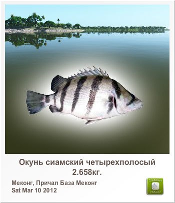 Павел Снегирь | Красноярск