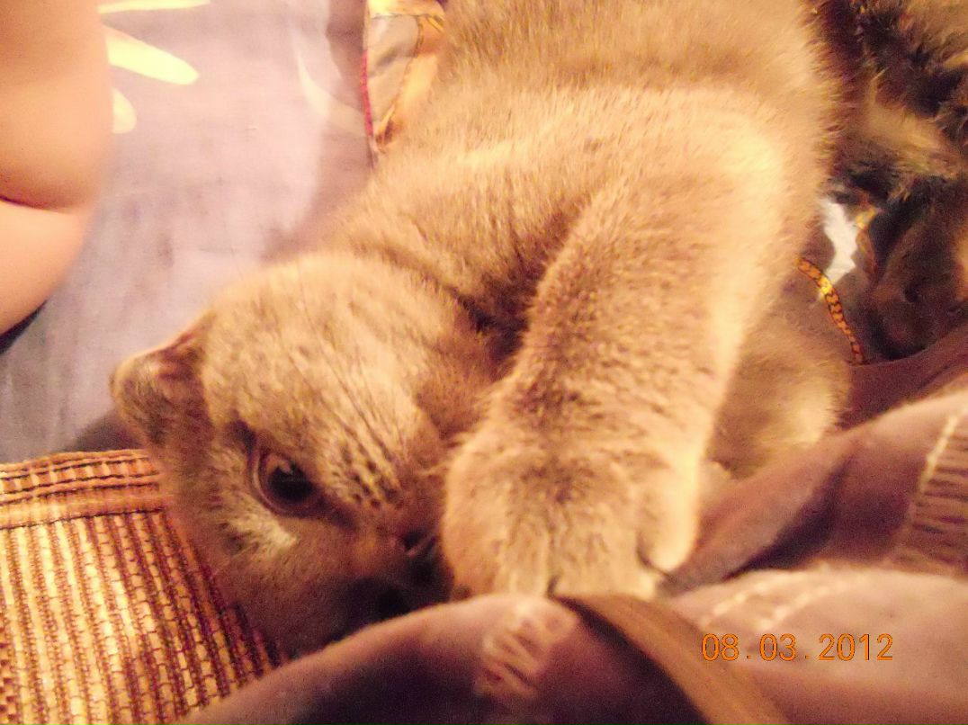 Ксения Арсеньева °•..☆ I ♥ Life ☆..•° | Щелково