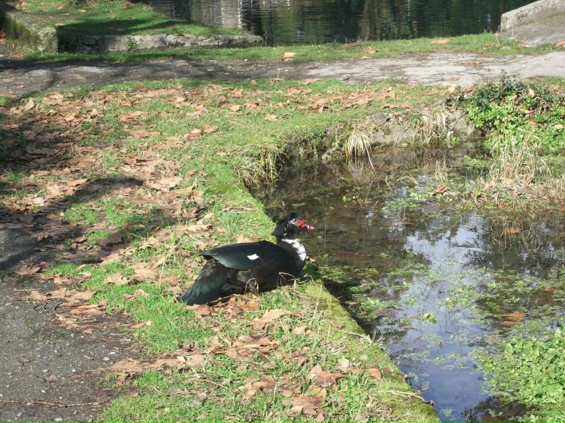 Вася Гришин | Санкт-Петербург