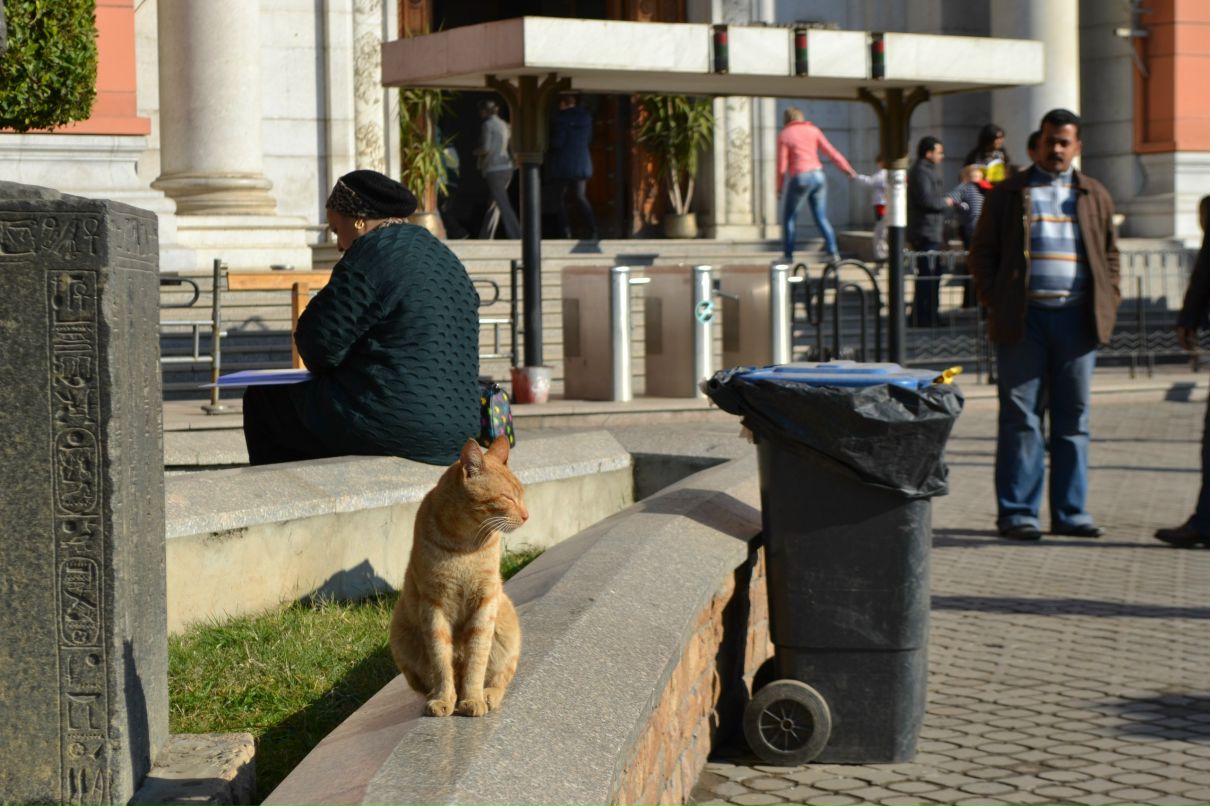 Анастасия Ярмакович | Минск