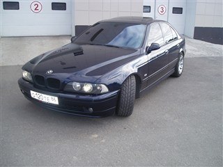 Дмитрий Мурлыкин | Балашиха