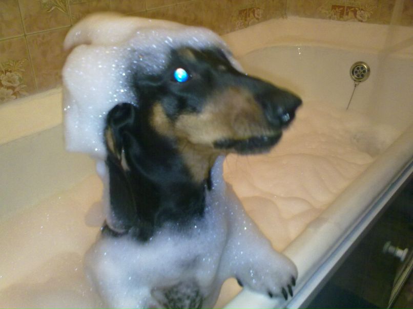 Сергей Семенов | Санкт-Петербург