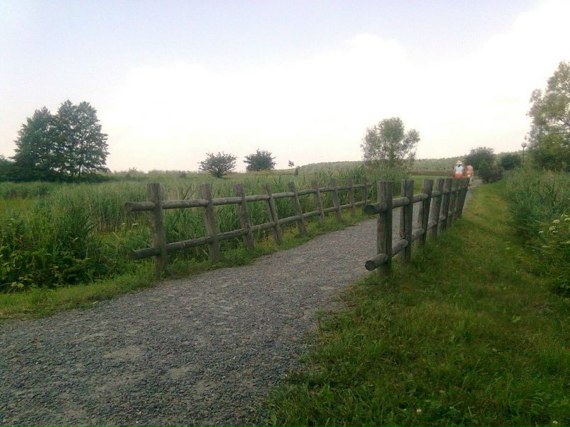 Игорь Давыдов [DavidoFF] | Брест