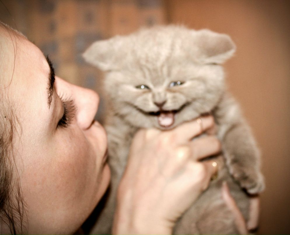 Анастасия Кузнецова | Киев