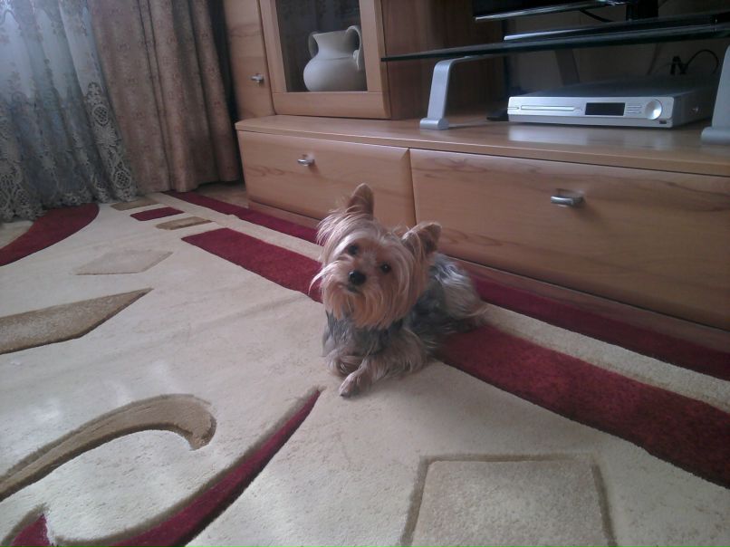 Влад Кортиков | Калининград