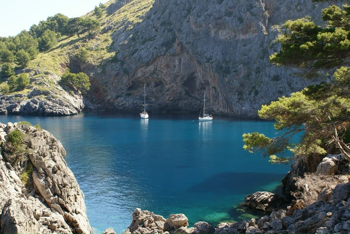 Дмитрий Семенов SiemenZZZ | Санкт-Петербург