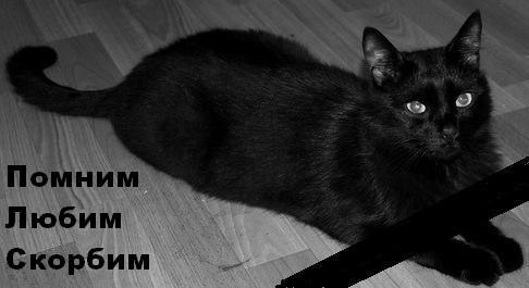 Анатолий Бацюн Akela | Киев