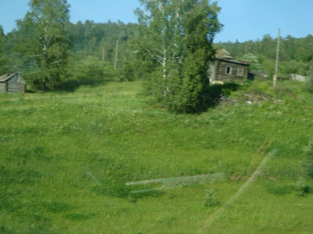 Дмитрий Никулин | Бетьки