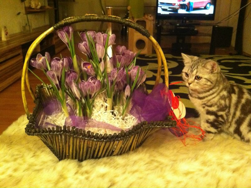 Наталия Ткаченко | Днепр (Днепропетровск)