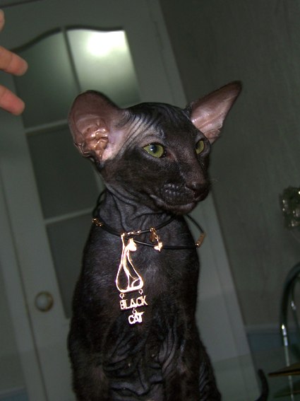 Лариса Петровская | Мурманск