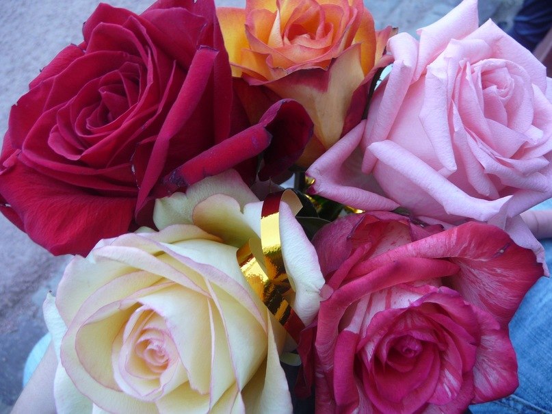 Наталія Майковська | Львов