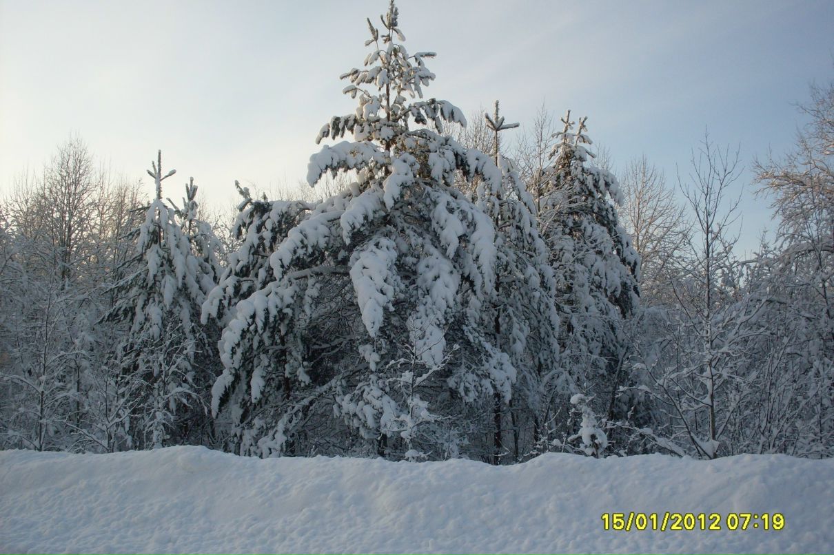 Галина Зайцева | Петрозаводск