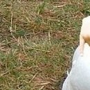 №79, Анжела Жужа, Евпатория №79, Анжела Жужа, Евпатория