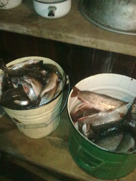 №6, Сергей Чернецов №6, Сергей Чернецов