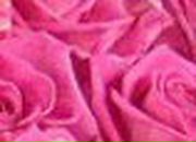 Юлия Бобырева | Санкт-Петербург