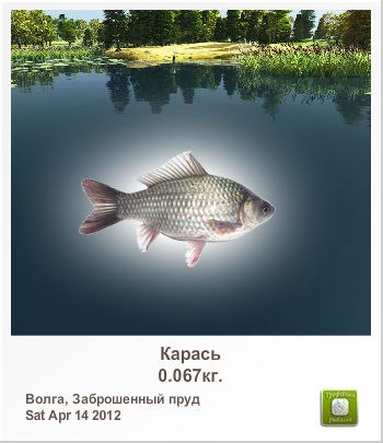 Санёк Сизов | Саратов