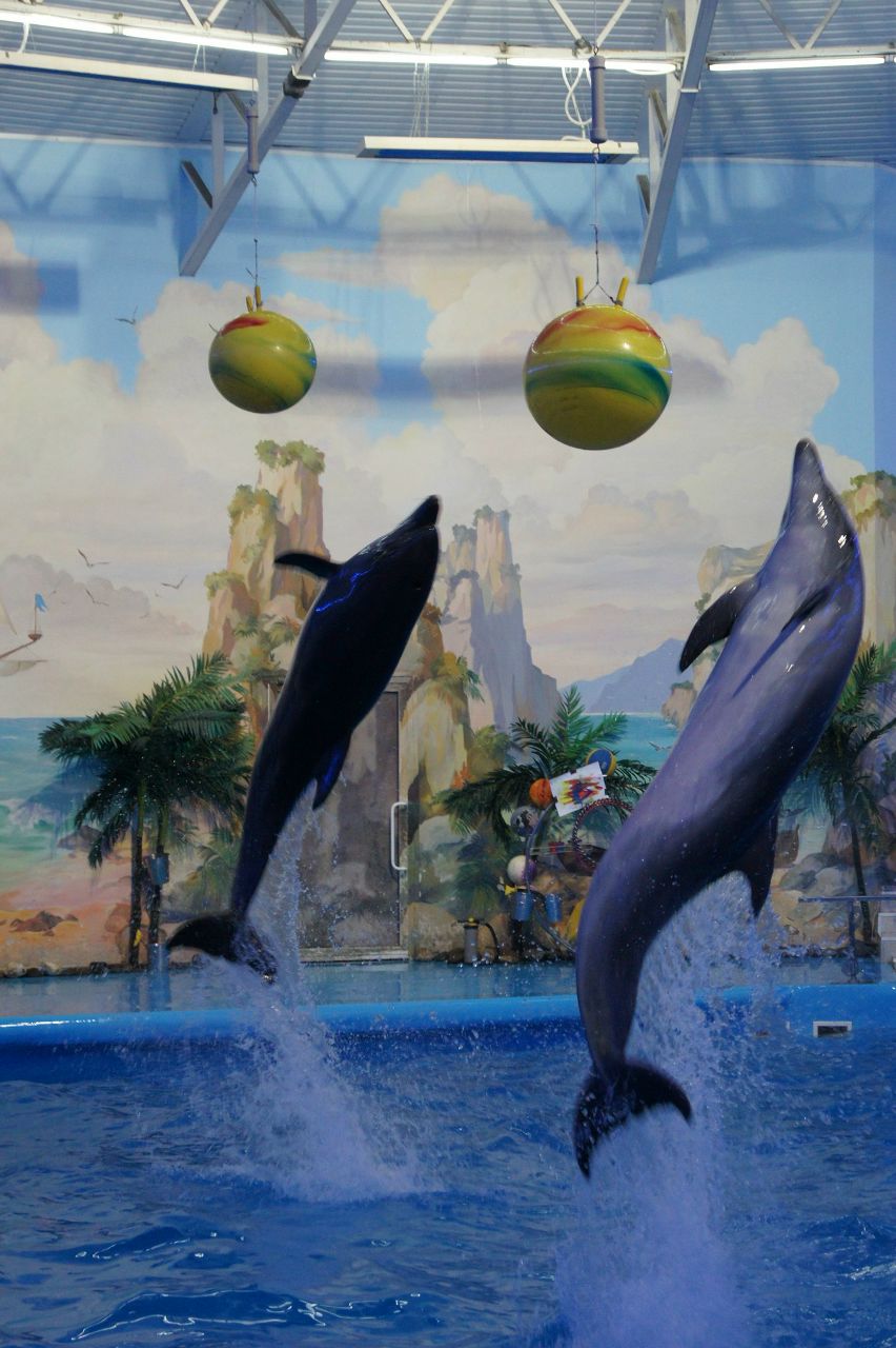 Максим Педоренко | Бахмут / Артемовск