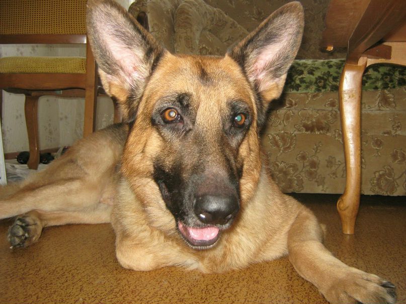 Надежда Низовцева | Балаково