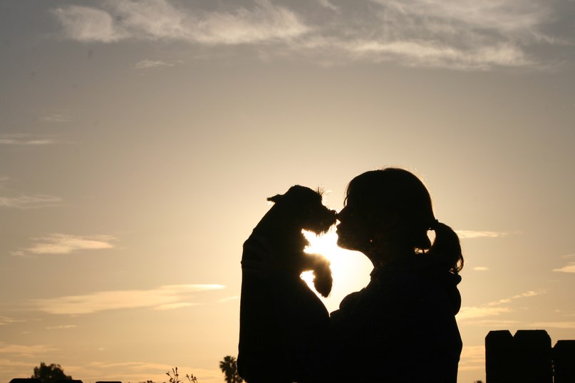 Кристина Клишко | San Diego