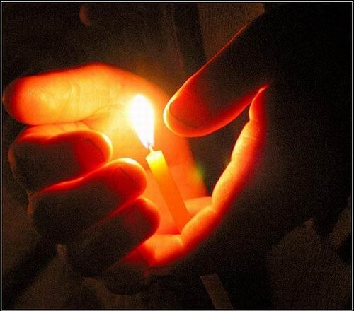 Виктория Кашталяр | Киев