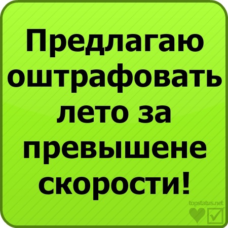№31, Dima Nohrin №31, Dima Nohrin