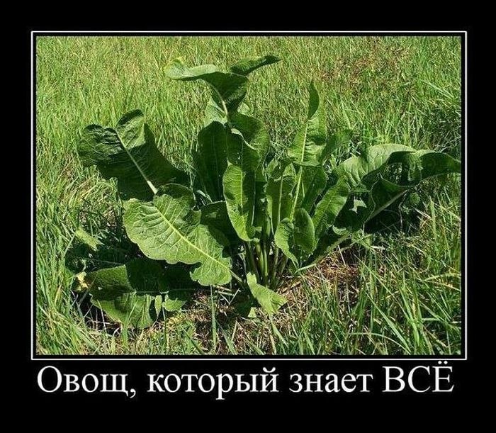 Виталий Холодюк | Черновцы
