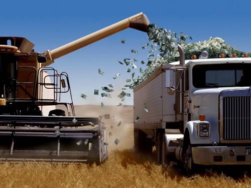 Сергей Панасюк | Звенигородка