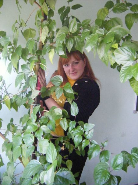 №57, Светулик Андрущак №57, Светулик Андрущак