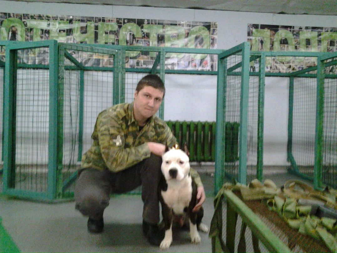 Александр Николаев | Санкт-Петербург