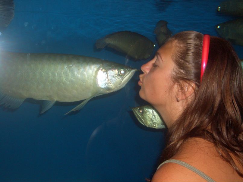 Нина Костромина | Харьков