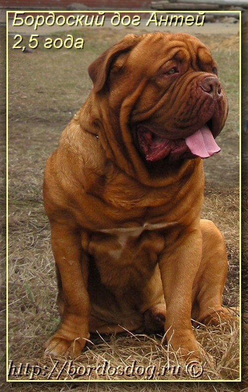 Константин Попов | Пермь