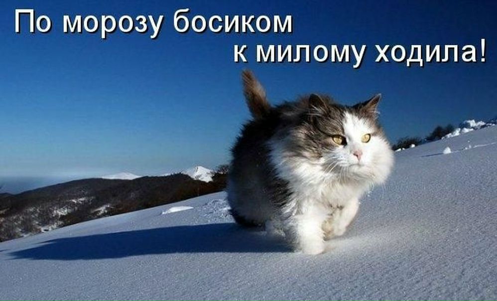 №69, Татьяна Трофимова №69, Татьяна Трофимова