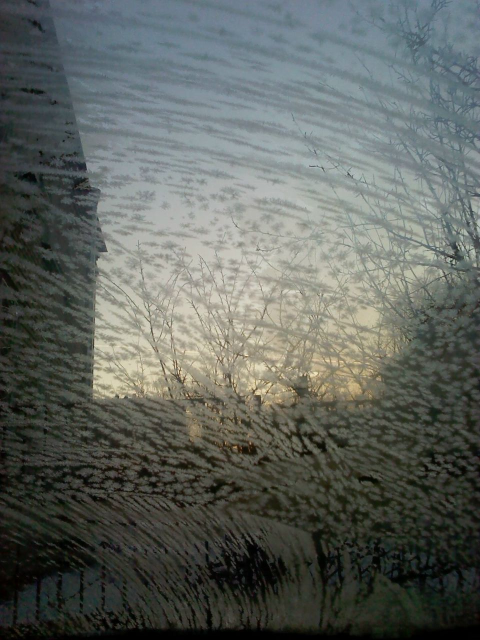 Мария Ракина | Санкт-Петербург