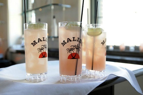 №135, Лиана Бэлл №135, Лиана Бэлл